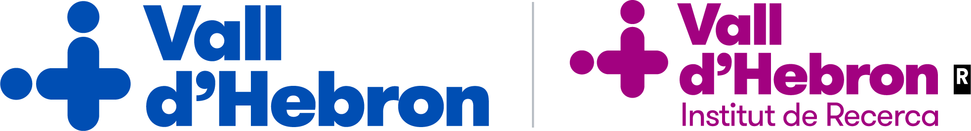 Institut de Recerca Vall d' Hebron